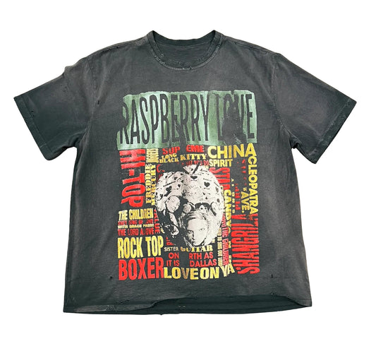 Retro Love Tee – Vintage Gallery Raspberry Hills Graphic Shirt
