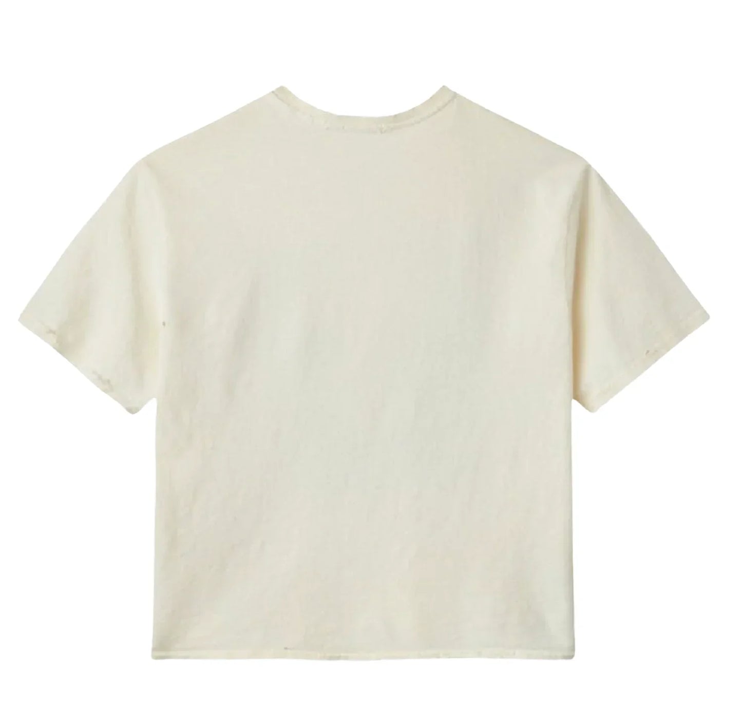 Raspberry Hills Vintage Tee – The Raspberries Retro Streetwear Fit
