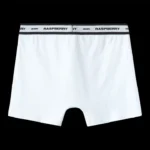 RASPBERRY HILLS WHITE BOXER BRIEFS - Image 3